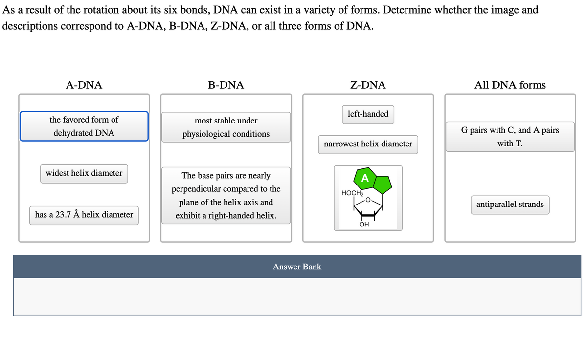 As a result of the rotation about its six bonds, DNA can exist in a variety of forms. Determine whether the image and
descriptions correspond to A-DNA, B-DNA, Z-DNA, or all three forms of DNA.
A-DNA
the favored form of
dehydrated DNA
widest helix diameter
has a 23.7 Å helix diameter
B-DNA
most stable under
physiological conditions
The base pairs are nearly
perpendicular compared to the
plane of the helix axis and
exhibit a right-handed helix.
Answer Bank
Z-DNA
left-handed
narrowest helix diameter
A
HOCH2
OH
All DNA forms
G pairs with C, and A pairs
with T.
antiparallel strands