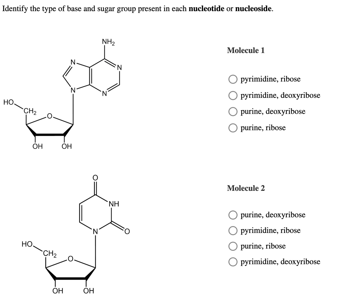 Identify the type of base and sugar group present in each nucleotide or nucleoside.
HO
CH₂
OH
но.
CH₂
OH
OH
'N
OH
NH₂
'N
NH
Molecule 1
O pyrimidine, ribose
O pyrimidine, deoxyribose
O purine, deoxyribose
purine, ribose
Molecule 2
O purine, deoxyribose
pyrimidine, ribose
purine, ribose
O pyrimidine, deoxyribose