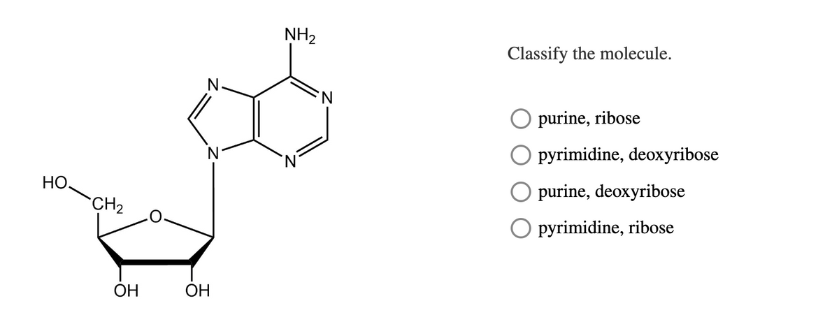 НО,
CH₂
OH
OH
NH₂
'N
Classify the molecule.
purine, ribose
O pyrimidine, deoxyribose
O purine, deoxyribose
O pyrimidine, ribose