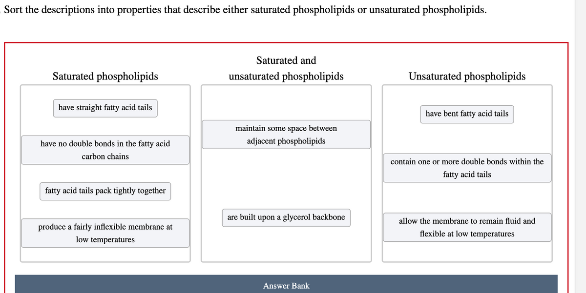 Sort the descriptions into properties that describe either saturated phospholipids or unsaturated phospholipids.
Saturated phospholipids
have straight fatty acid tails
have no double bonds in the fatty acid
carbon chains
fatty acid tails pack tightly together
produce a fairly inflexible membrane at
low temperatures
Saturated and
unsaturated phospholipids
maintain some space between
adjacent phospholipids
are built upon a glycerol backbone
Answer Bank
Unsaturated phospholipids
have bent fatty acid tails
contain one or more double bonds within the
fatty acid tails
allow the membrane to remain fluid and
flexible at low temperatures