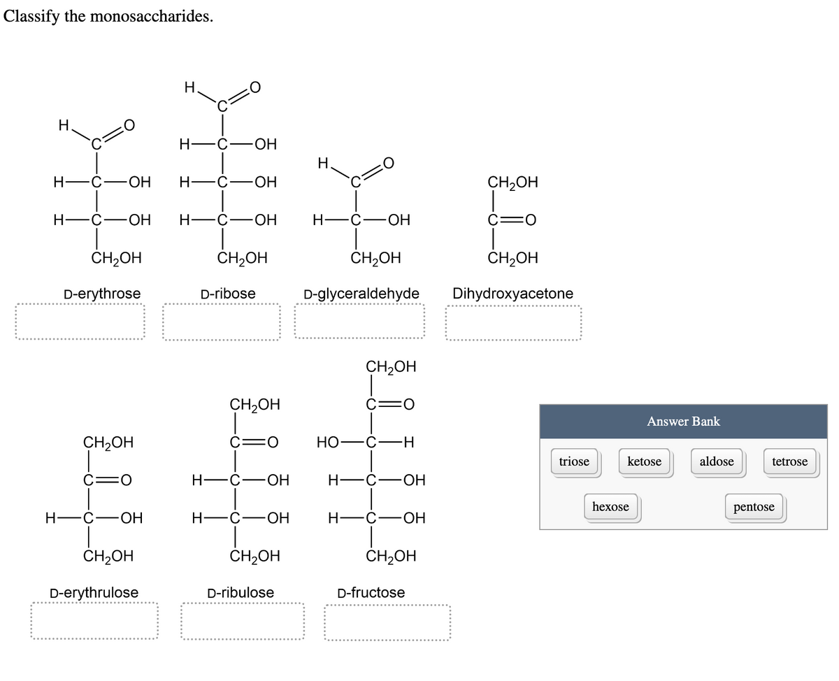 Classify the monosaccharides.
H
H-C- -OH
H-C- -OH H-
CH₂OH
D-erythrose
H-
CH₂OH
FO
-OH
H.
CH₂OH
D-erythrulose
H-
-OH
-OH
H-C OH
CH₂OH
H-
D-ribose
CH₂OH
OH
H-C OH
CH₂OH
D-ribulose
H
H-C-
CH₂OH
D-glyceraldehyde
-OH
HO- -C-
H-
CH₂OH
FO
-H
-C- -OH
H-C OH
CH₂OH
D-fructose
CH₂OH
C=O
CH₂OH
Dihydroxyacetone
triose
Answer Bank
ketose
hexose
aldose
tetrose
pentose