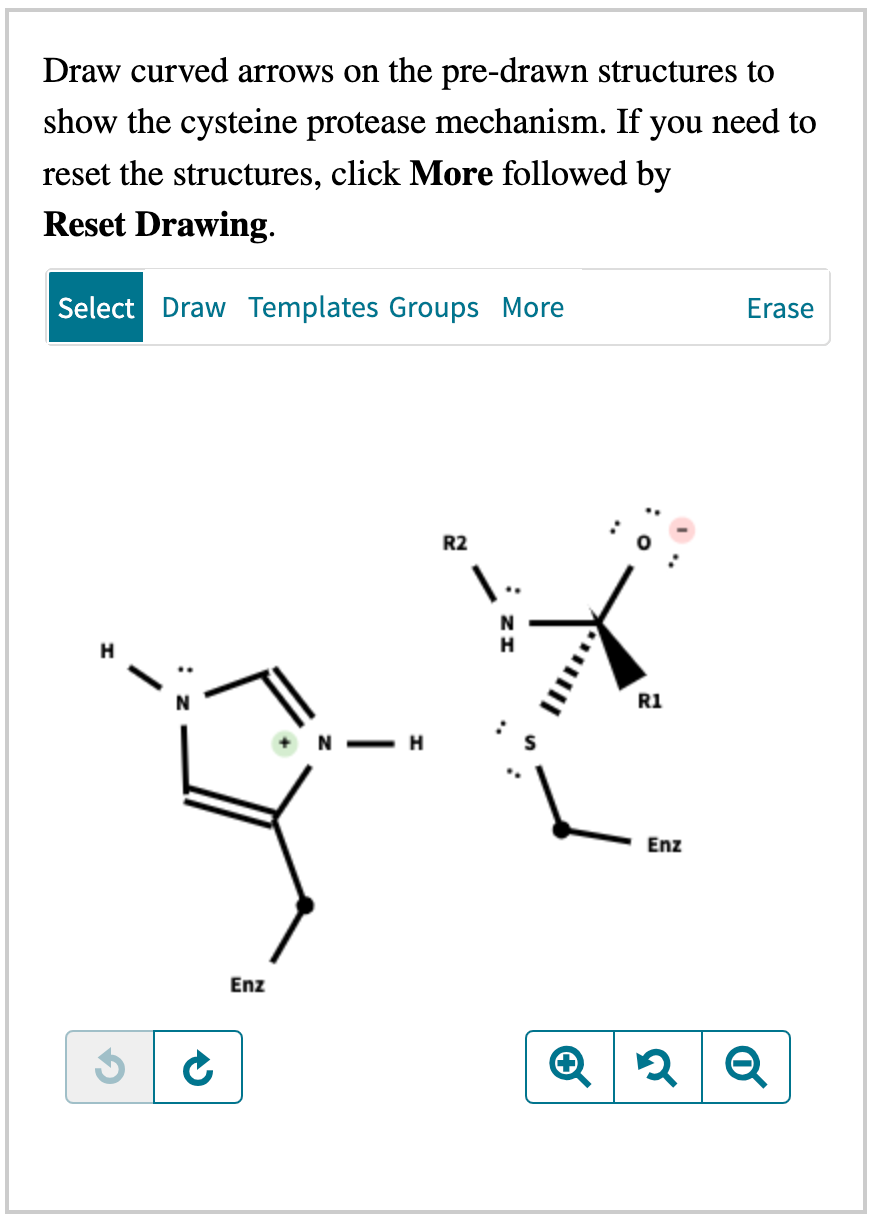 Draw curved arrows on the pre-drawn structures to
show the cysteine protease mechanism. If you need to
reset the structures, click More followed by
Reset Drawing.
Select Draw Templates Groups More
✔
Enz
+N
H
R2
I..
R1
Enz
Erase
Q2 Q
२