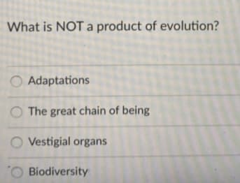 What is NOT a product of evolution?
O Adaptations
O The great chain of being
O Vestigial organs
O Biodiversity
