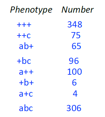 Phenotype Number
348
75
65
+++
++C
ab+
+bc
a++
+b+
a+c
abc
96
100
6
4
306