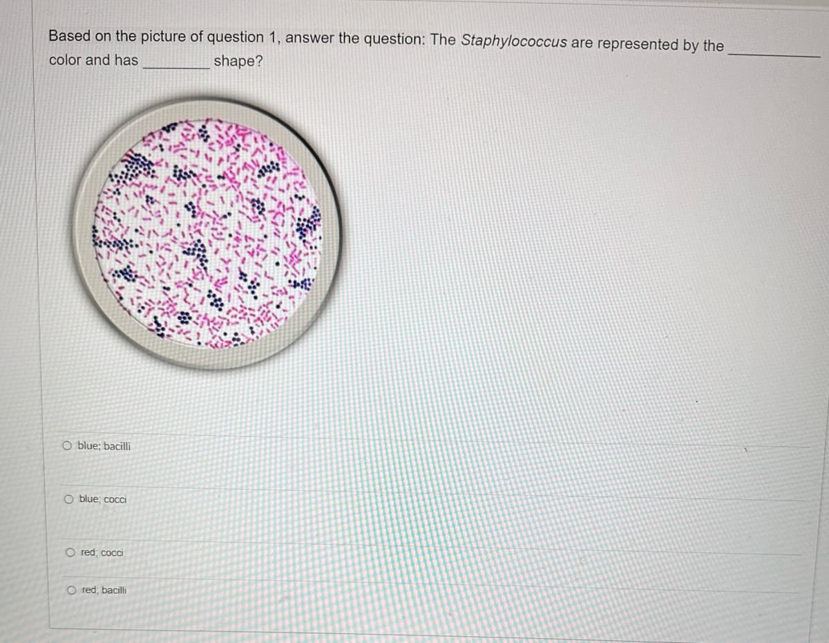 Based on the picture of question 1, answer the question: The Staphylococcus are represented by the
color and has
shape?
O blue; bacilli
O blue; cocci
O red; cocci
O red; bacilli
1198
