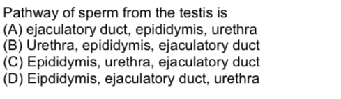 Pathway of sperm from the testis is
(A) ejaculatory duct, epididymis, urethra
(B) Urethra, epididymis, ejaculatory duct
(C) Epididymis, urethra, ejaculatory duct
(D) Eipdidymis, ejaculatory duct, urethra
