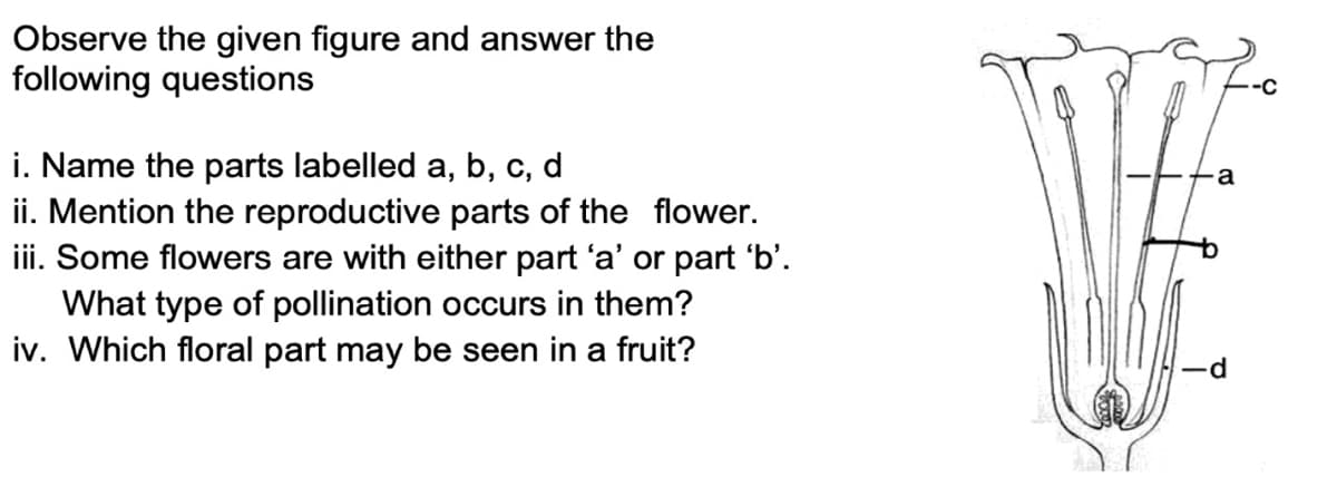 Observe the given figure and answer the
following questions
i. Name the parts labelled a, b, c, d
ii. Mention the reproductive parts of the flower.
iii. Some flowers are with either part 'a' or part 'b'.
What type of pollination occurs in them?
iv. Which floral part may be seen in a fruit?
a
