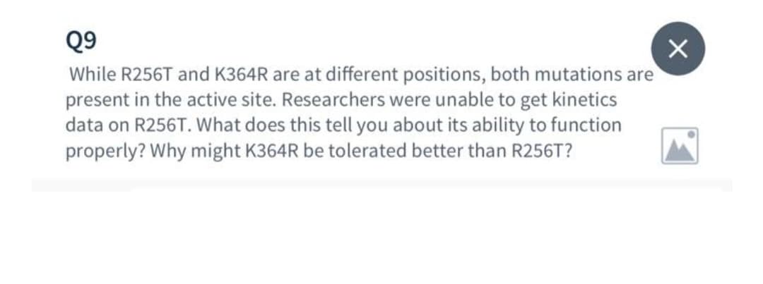 Q9
While R256T and K364R are at different positions, both mutations are
present in the active site. Researchers were unable to get kinetics
data on R256T. What does this tell you about its ability to function
properly? Why might K364R be tolerated better than R256T?
