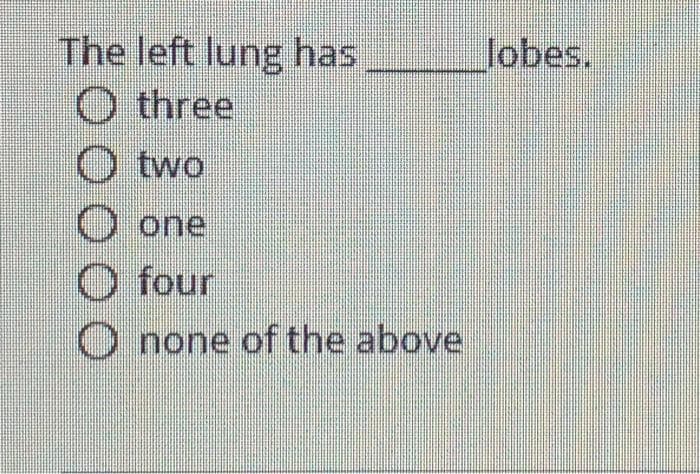 The left lung has
O three
Jobes.
two
one
O four
O none of the above
