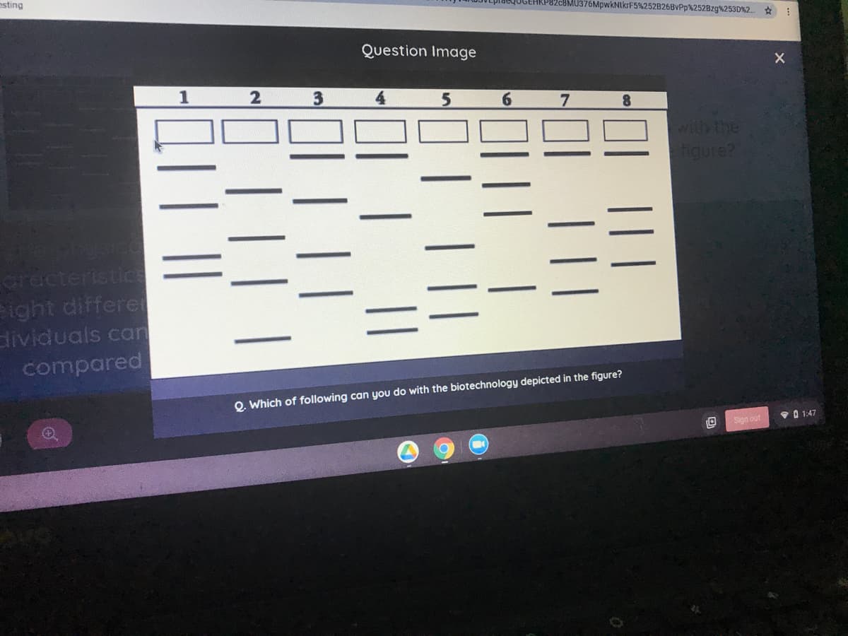 esting
8MU376MpwkNtkrF5%252B26BVPP%252Bzg%253D%2.
Question Image
1
3
6.
7.
8.
with the
figure?
cracteristics
ight differe
dividuals can
compared
Q. Which of following can you do with the biotechnology depicted in the figure?
• 0 1:47
Sign out
||
O|| |
11
