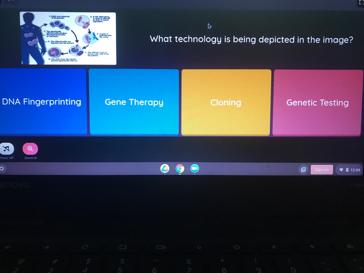 OO
What technology is being depicted in the image?
DNA Fingerprinting
Gene Therapy
Cloning
Genetic Testing
Music off
Zoom In
Sign out
V O 12:03
enovo
1006
6
7
8.
