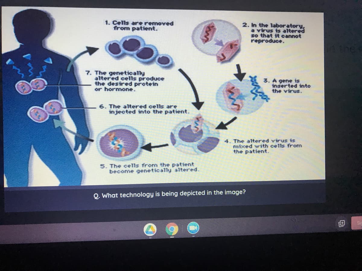 1. Cells are removed
from patient.
2. In the laboratory,
a virus is altered
so that it cannot
reproduce.
7. The genetically
altered cells produce
the desired protein
or hormone.
3. A gene is
inserted into
the virus.
6. The altered cells are
injected into the patient.
4. The altered virus is
mixed with cells from
the patient.
5. The cells from the patient
become genetically altered.
Q. What technology is being depicted in the image?
