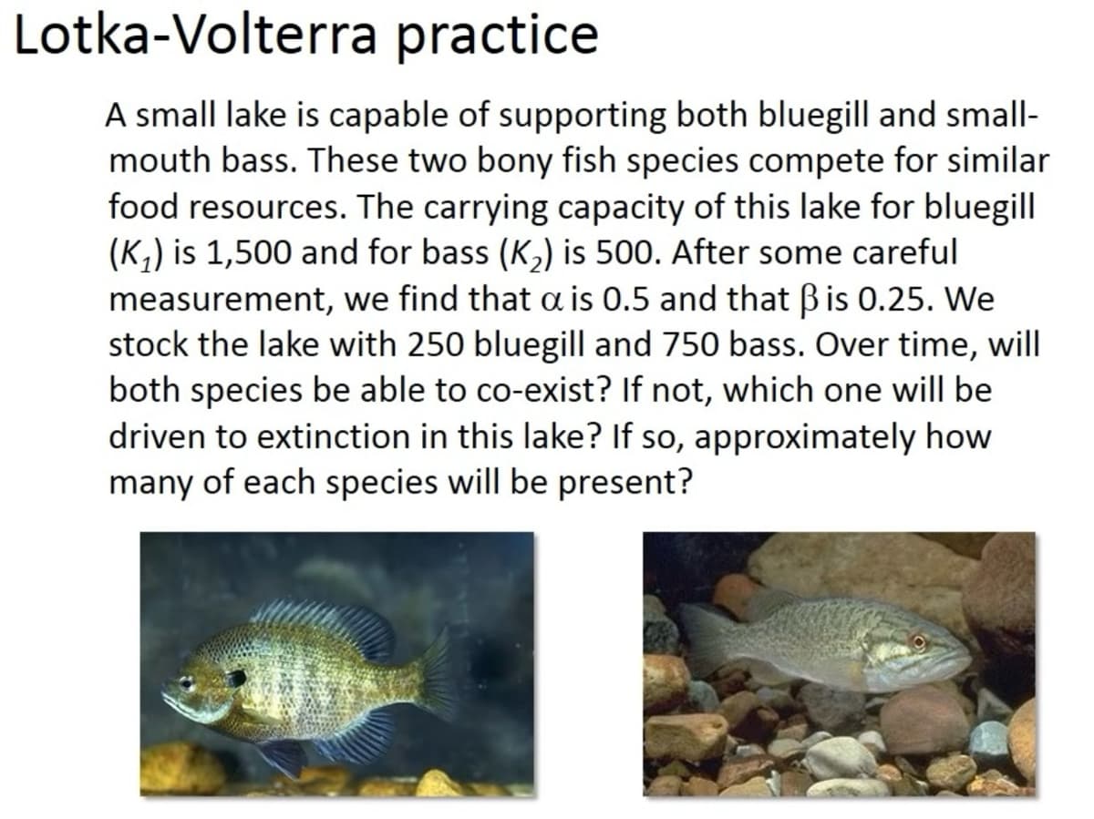 Lotka-Volterra practice
A small lake is capable of supporting both bluegill and small-
mouth bass. These two bony fish species compete for similar
food resources. The carrying capacity of this lake for bluegill
(K₁) is 1,500 and for bass (K₂) is 500. After some careful
measurement, we find that a is 0.5 and that ẞ is 0.25. We
stock the lake with 250 bluegill and 750 bass. Over time, will
both species be able to co-exist? If not, which one will be
driven to extinction in this lake? If so, approximately how
many of each species will be present?