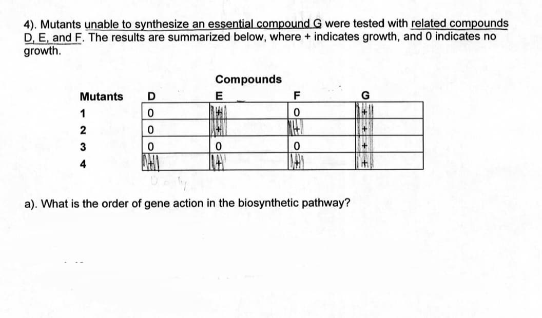 4). Mutants unable to synthesize an essential compound G were tested with related compounds
D, E, and F. The results are summarized below, where + indicates growth, and 0 indicates no
growth.
Mutants
1
2
3
4
D
0
0
0
Compounds
E
0
INAAL
F
0
0
INAY
a). What is the order of gene action in the biosynthetic pathway?
G