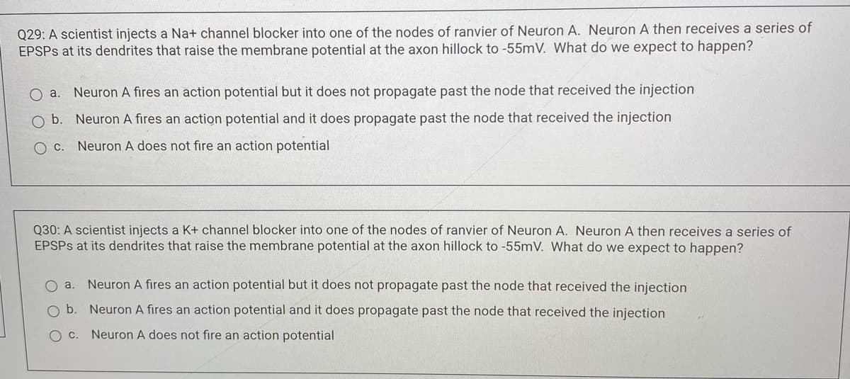 Q29: A scientist injects a Na+ channel blocker into one of the nodes of ranvier of Neuron A. Neuron A then receives a series of
EPSPS at its dendrites that raise the membrane potential at the axon hillock to -55mV. What do we expect to happen?
a. Neuron A fires an action potential but it does not propagate past the node that received the injection
b. Neuron A fires an action potential and it does propagate past the node that received the injection
C. Neuron A does not fire an action potential
Q30: A scientist injects a K+ channel blocker into one of the nodes of ranvier of Neuron A. Neuron A then receives a series of
EPSPS at its dendrites that raise the membrane potential at the axon hillock to -55mV. What do we expect to happen?
O a. Neuron A fires an action potential but it does not propagate past the node that received the injection
O b.
Neuron A fires an action potential and it does propagate past the node that received the injection
O C.
Neuron A does not fire an action potential