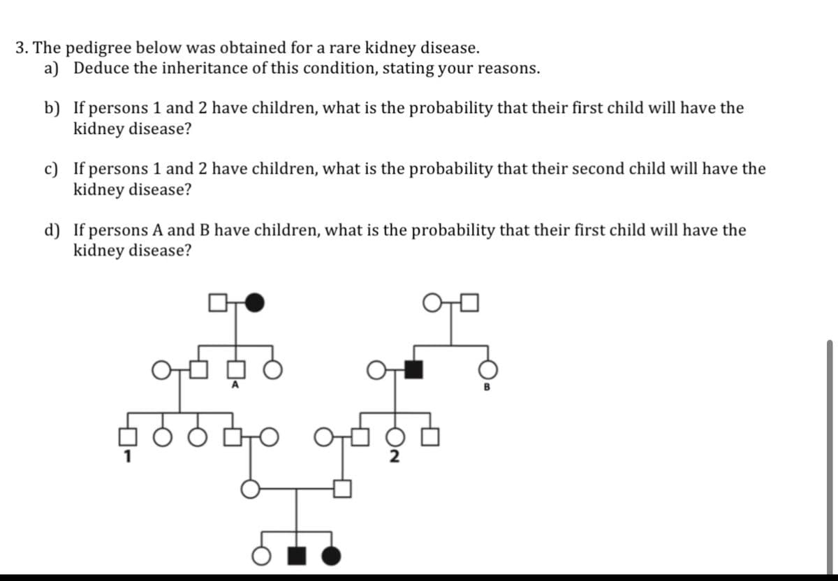 3. The pedigree below was obtained for a rare kidney disease.
a) Deduce the inheritance of this condition, stating your reasons.
b)
If persons 1 and 2 have children, what is the probability that their first child will have the
kidney disease?
c) If persons 1 and 2 have children, what is the probability that their second child will have the
kidney disease?
d) If persons A and B have children, what is the probability that their first child will have the
kidney disease?
od 6
sodbe god