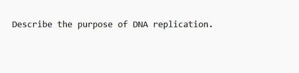 Describe the purpose of DNA replication.