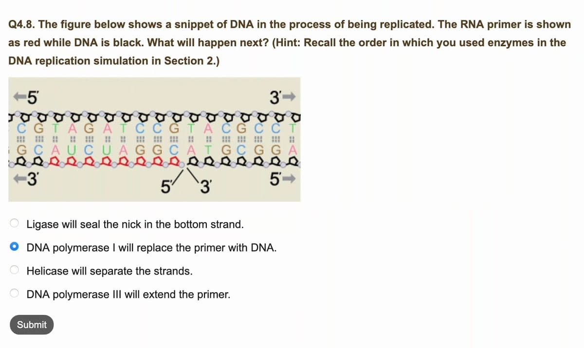Q4.8. The figure below shows a snippet of DNA in the process of being replicated. The RNA primer is shown
as red while DNA is black. What will happen next? (Hint: Recall the order in which you used enzymes in the
DNA replication simulation in Section 2.)
3'-
C GTAG ĂTC C G TA ČG C C T
G CAUC UAGGCATGC G GA
+3
'3'
Ligase will seal the nick in the bottom strand.
DNA polymerase I will replace the primer with DNA.
Helicase will separate the strands.
DNA polymerase III will extend the primer.
Submit
in
