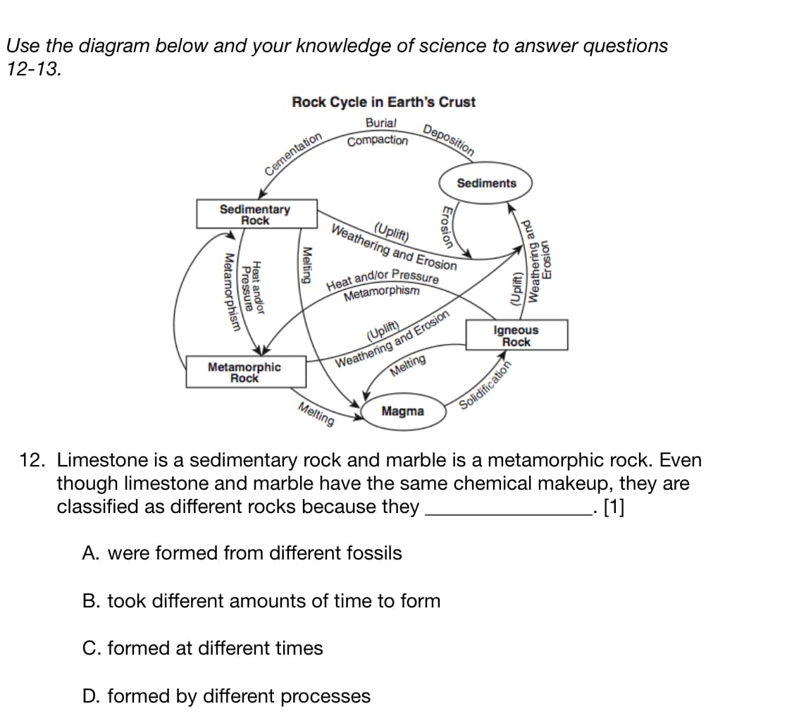 Use the diagram below and your knowledge of science to answer questions
12-13.
Rock Cycle in Earth's Crust
Cementation
Burial
Compaction
Deposition
Sediments
Sedimentary
Rock
1 Metamorphism
Pressure
Heat and/or
a
Metamorphic
Rock
Melting
Melting
(Uplift)
Erosion
Weathering and Erosion
Heat
and/or
Pressure
Metamorphism
(Uplift)
Weathering and Erosion
Melting
Magma
(Uplift)
Weathering and
Erosion
Igneous
Rock
Solidification
12. Limestone is a sedimentary rock and marble is a metamorphic rock. Even
though limestone and marble have the same chemical makeup, they are
classified as different rocks because they.
A. were formed from different fossils
B. took different amounts of time to form
C. formed at different times
D. formed by different processes
. [1]