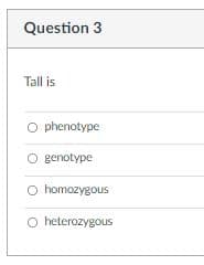 Question 3
Tall is
O phenotype
O genotype
homozygous
O heterozygous
