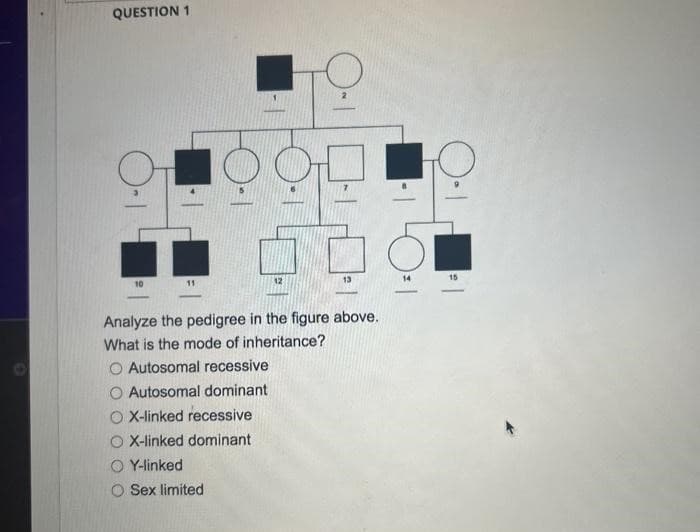 QUESTION 1
11
12
O X-linked recessive
O X-linked dominant
OY-linked
O Sex limited
13
Analyze the pedigree in the figure above.
What is the mode of inheritance?
O Autosomal recessive
Autosomal dominant
14
15
