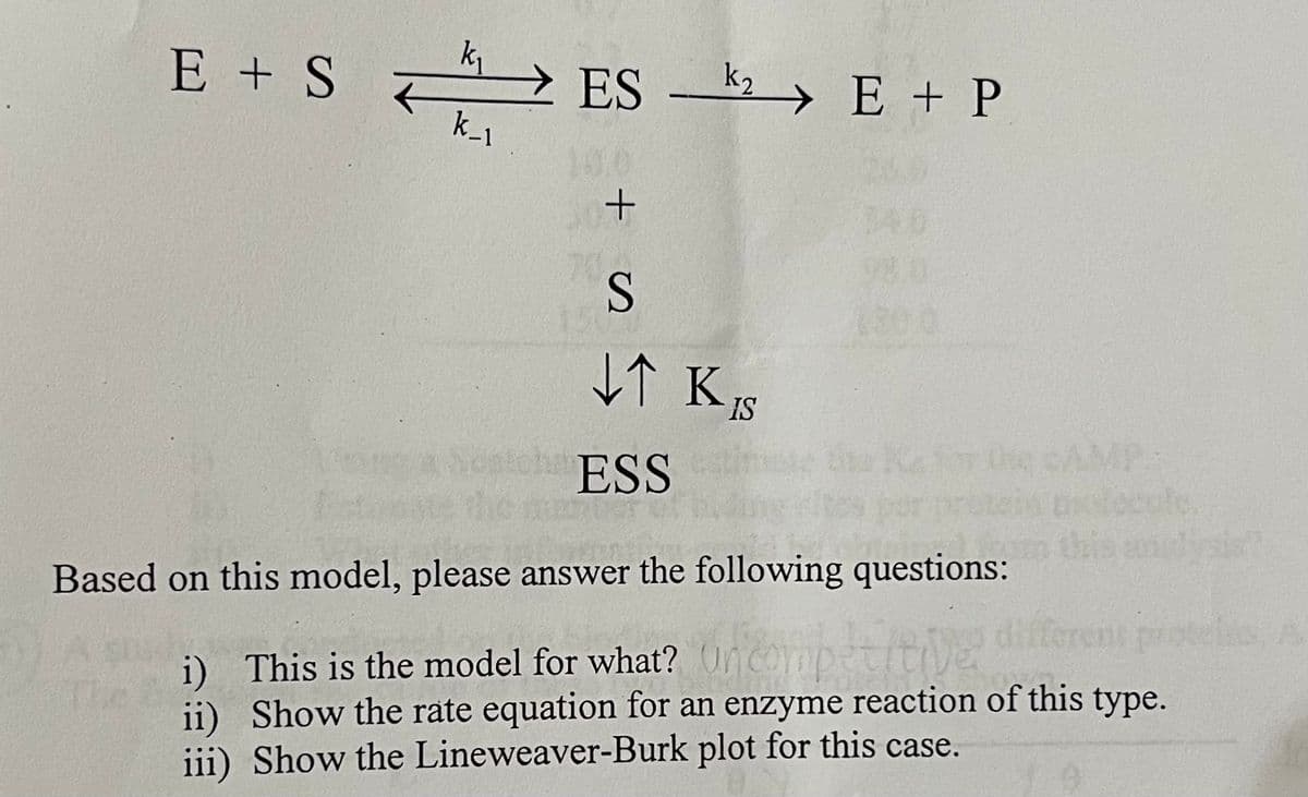k_1
E + SES E + P
+0
k₂
S
↓↑ KIS
ESS
Based on this model, please answer the following questions:
i) This is the model for what? Uncompet tive
ii) Show the rate equation for an enzyme reaction of this type.
iii) Show the Lineweaver-Burk plot for this case.
A