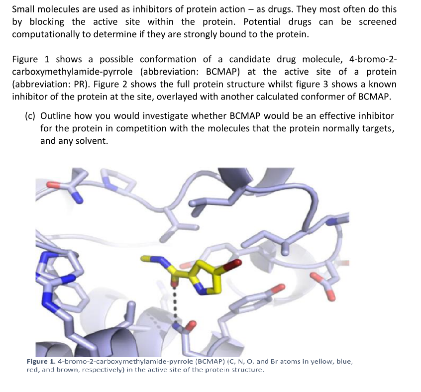 Small molecules are used as inhibitors of protein action - as drugs. They most often do this
by blocking the active site within the protein. Potential drugs can be screened
computationally to determine if they are strongly bound to the protein.
Figure 1 shows a possible conformation of a candidate drug molecule, 4-bromo-2-
carboxymethylamide-pyrrole (abbreviation: BCMAP) at the active site of a protein
(abbreviation: PR). Figure 2 shows the full protein structure whilst figure 3 shows a known
inhibitor of the protein at the site, overlayed with another calculated conformer of BCMAP.
(c) Outline how you would investigate whether BCMAP would be an effective inhibitor
for the protein in competition with the molecules that the protein normally targets,
and any solvent.
Figure 1. 4-bromo-2-carboxymethylamide-pyrrole (BCMAP) (C, N, O, and Br atoms in yellow, blue,
red, and brown, respectively) in the active site of the protein structure.