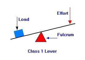 Load
Effort
Class 1 Lever
Fulcrum