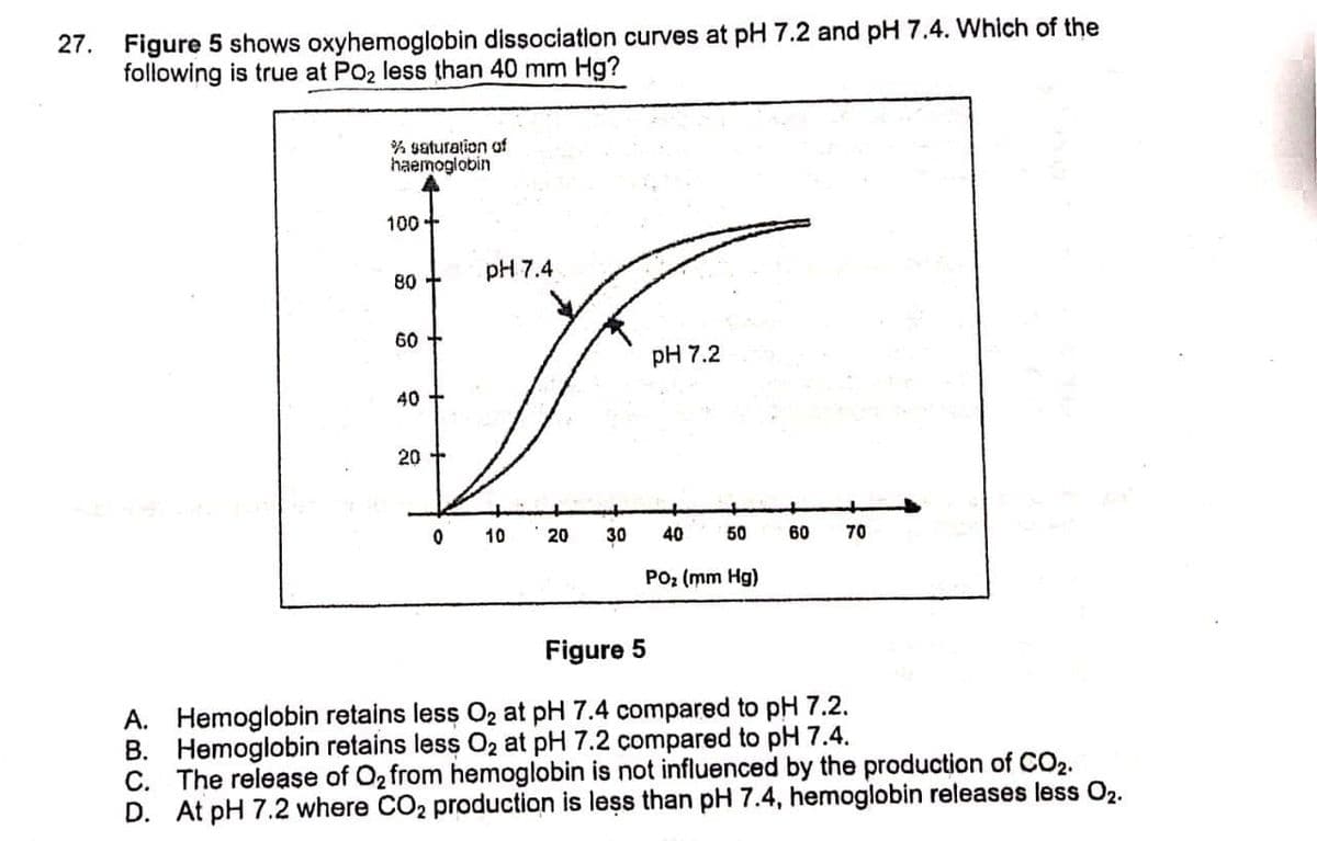 Figure 5 shows oxyhemoglobin dissociatlon curves at pH 7.2 and pH 7.4. Which of the
following is true at PO2 less than 40 mm Hg?
27.
% saturation af
haemogiobin
100
pH 7.4
80
60
pH 7.2
40 +
20
10
20
30
40
50
60
70
Po; (mm Hg)
Figure 5
A. Hemoglobin retains less O2 at pH 7.4 compared to pH 7.2.
B. Hemoglobin retains less O2 at pH 7.2 compared to pH 7.4.
C. The release of O2 from hemoglobin is not influenced by the production of CO2.
D. At pH 7.2 where CO2 production is less than pH 7.4, hemoglobin releases less O2.
