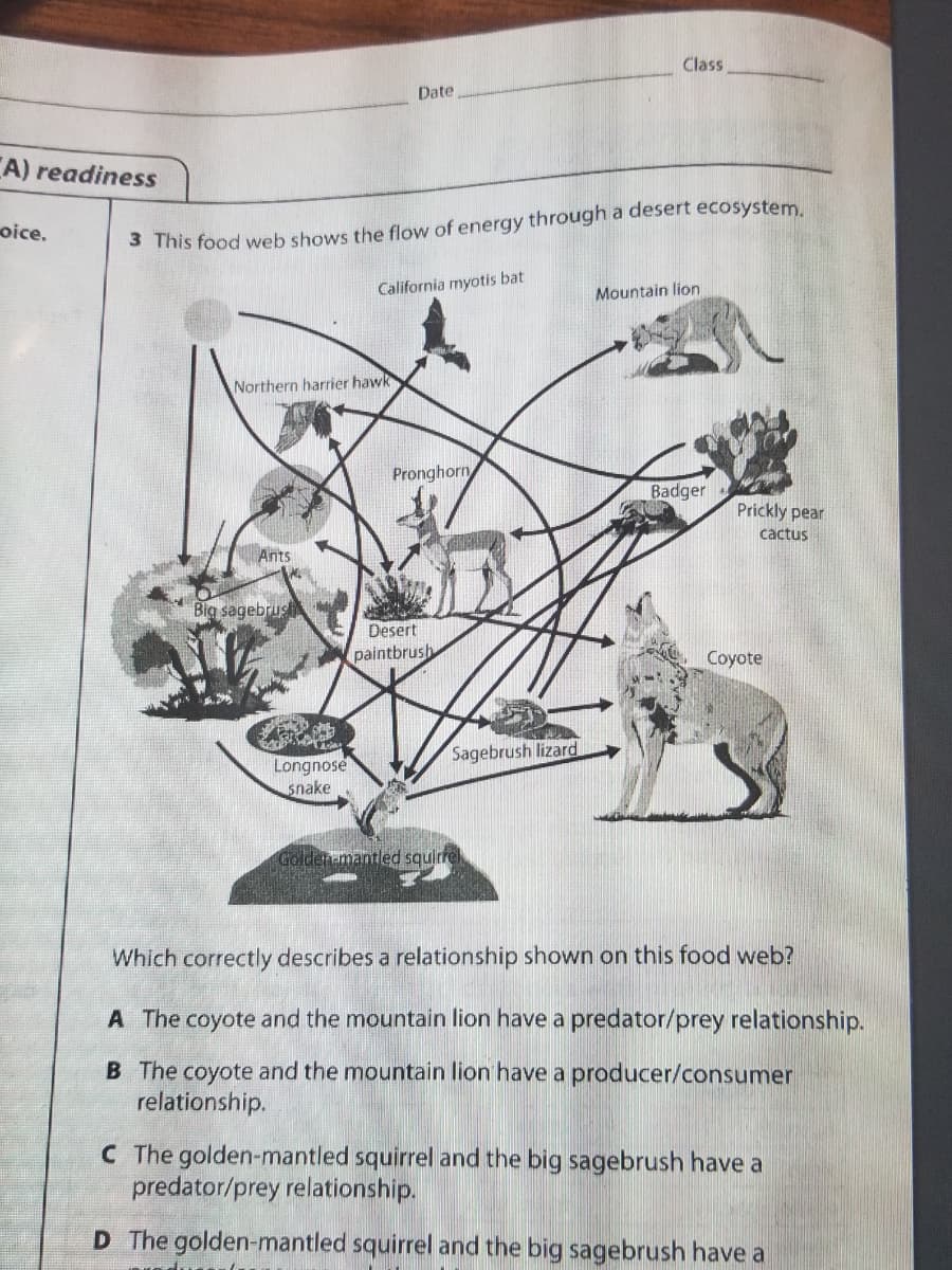 Class
Date
CA) readiness
oice.
S This food web shows the flow of energy through a desert ecosystem
California myotis bat
Mountain lion
Northern harrier hawk
Pronghorn
Badger
Prickly pear
cactus
Ants
Big sagebrus
Desert
paintbrush
Coyote
Sagebrush lizard
Longnose
snake
Golden-mantled squire
Which correctly describes a relationship shown on this food web?
A The coyote and the mountain lion have a predator/prey relationship.
B The coyote and the mountain lion have a producer/consumer
relationship.
C The golden-mantled squirrel and the big sagebrush have a
predator/prey relationship.
D The golden-mantled squirrel and the big sagebrush have a
