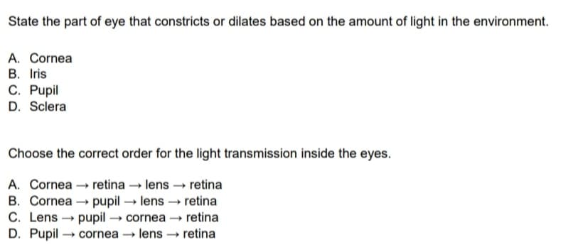 State the part of eye that constricts or dilates based on the amount of light in the environment.
A. Cornea
B. Iris
C. Pupil
D. Sclera
Choose the correct order for the light transmission inside the eyes.
A. Cornea → retina – lens → retina
B. Cornea - pupil → lens → retina
C. Lens → pupil → cornea → retina
D. Pupil → cornea → lens → retina
