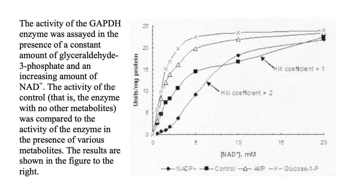 The activity of the GAPDH
enzyme was assayed in the
presence of a constant
amount of glyceraldehyde-
3-phosphate and an
increasing amount of
NAD. The activity of the
control (that is, the enzyme
with no other metabolites)
was compared to the
activity of the enzyme in
the presence of various
metabolites. The results are
shown in the figure to the
right.
Units/mg protein
R
8
9
10
-NADP+
Hill coeficient = 1
Hill coefficient = 2
NAD], mM
15
Control -- AMP-X-Glucose-1-P
20