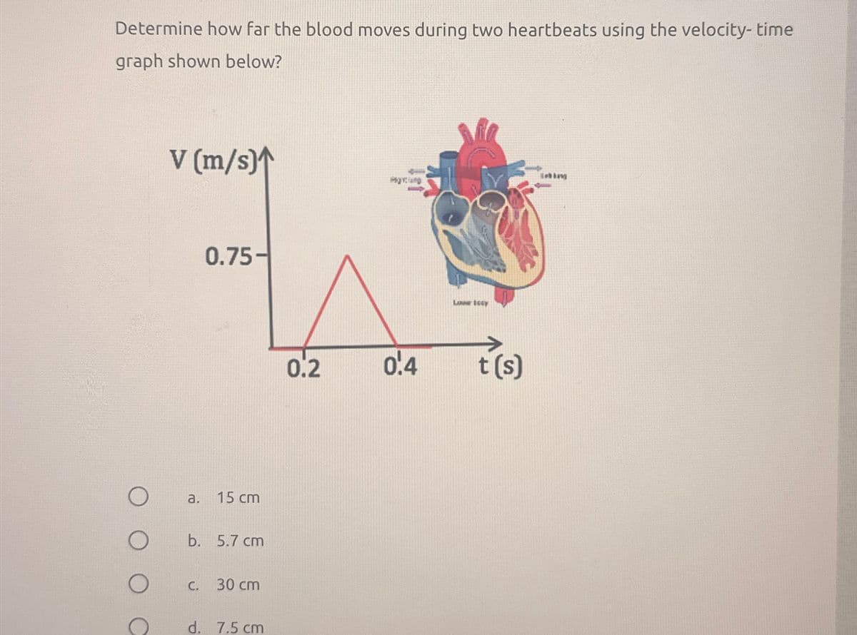 Determine how far the blood moves during two heartbeats using the velocity- time
graph shown below?
V (m/s)^
a.
0.75-
15 cm
O
b. 5.7 cm
C.
30 cm
d. 7.5 cm
Low tocy
0.2
0'4
t(s)
Tebing