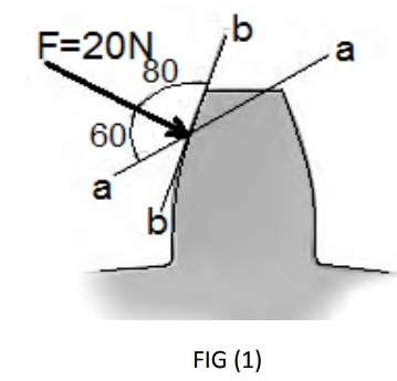 F=20N
80
a
60
a
FIG (1)
