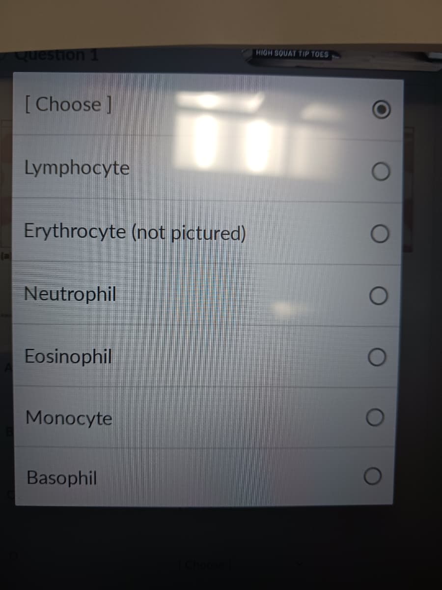 (a)
Question 1
[Choose ]
Lymphocyte
Erythrocyte (not pictured)
Neutrophil
Eosinophil
Monocyte
Basophil
HIGH SQUAT TIP TOES
O