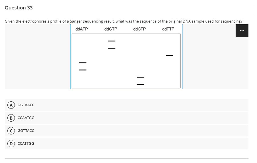 Question 33
Given the electrophoresis profile of a Sanger sequencing result, what was the sequence of the original DNA sample used for sequencing?
ddATP
ddGTP
ddCTP
ddTTP
A) GGTAACC
в) ССААТGG
GGTTACC
D) CCATTGG
| |
| |
