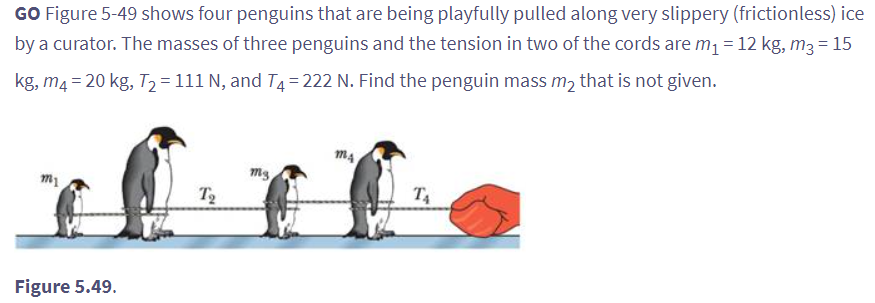 GO Figure 5-49 shows four penguins that are being playfully pulled along very slippery (frictionless) ice
by a curator. The masses of three penguins and the tension in two of the cords are m₁ = 12 kg, m3 = 15
kg, m4 = 20 kg, T₂ = 111 N, and T4=222 N. Find the penguin mass m₂ that is not given.
m1
Figure 5.49.
T₂
ms,
MA
T₁