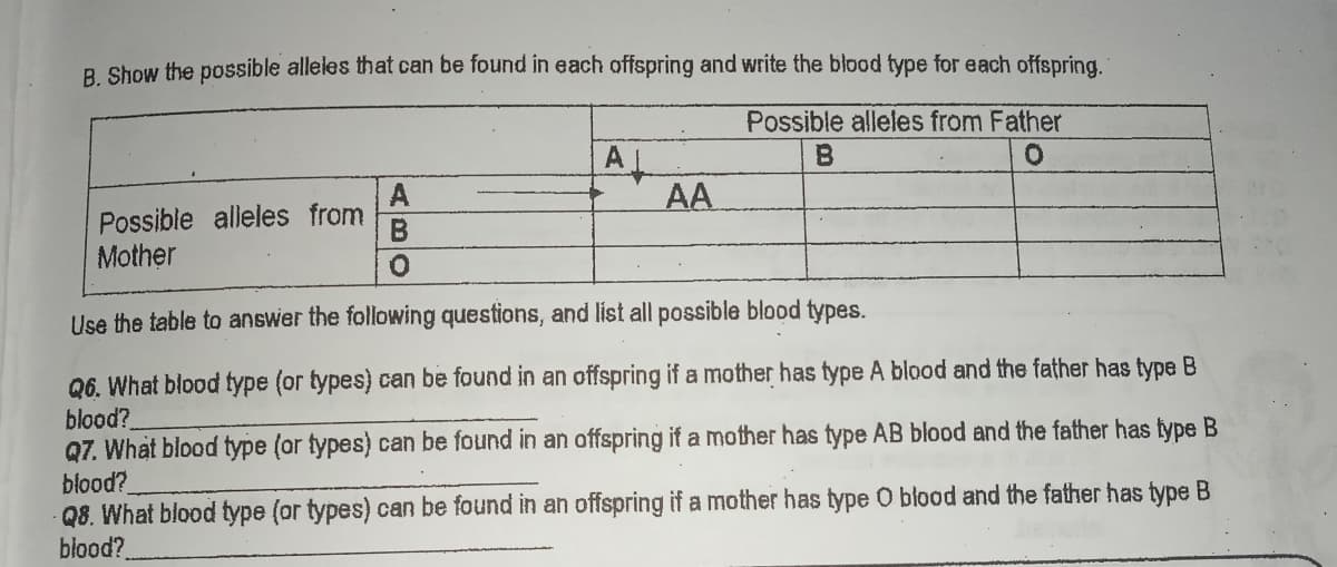 B. Show the possible alleles that can be found in each offspring and write the blood type for each offspring.
Possible alleles from Father
A
AA
Possible alleles from
Mother
Use the table to answer the following questions, and list all possible blood types.
Q6. What blood type (or types) can be found in an offspring if a mother has type A blood and the father has type B
blood?
Q7. What blood type (or types) can be found in an offspring if a mother has type AB blood and the father has type B
blood?
Q8. What blood type (or types) can be found in an offspring if a mother has type O blood and the father has type B
blood?
