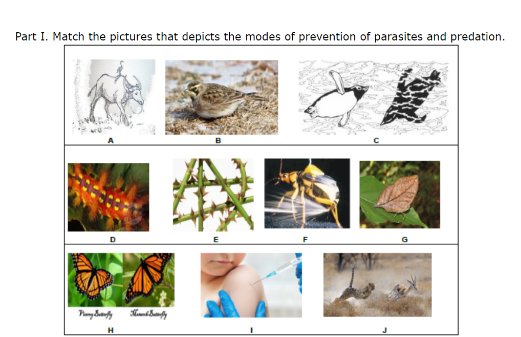Part I. Match the pictures that depicts the modes of prevention of parasites and predation.
D
F
G
H
