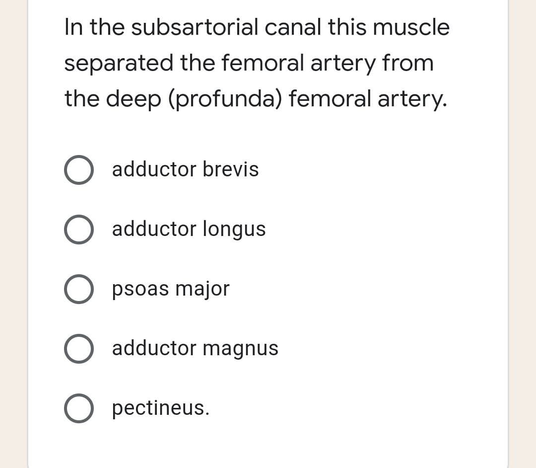In the subsartorial canal this muscle
separated the femoral artery from
the deep (profunda) femoral artery.
O adductor brevis
O adductor longus
O psoas major
adductor magnus
O pectineus.
