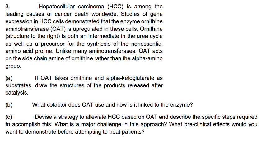 Hepatocellular carcinoma (HCC) is among the
leading causes of cancer death worldwide. Studies of gene
expression in HCC cells demonstrated that the enzyme ornithine
aminotransferase (OAT) is upregulated in these cells. Ornithine
(structure to the right) is both an intermediate in the urea cycle
as well as a precursor for the synthesis of the nonessential
amino acid proline. Unlike many aminotransferases, OAT acts
on the side chain amine of ornithine rather than the alpha-amino
3.
group.
If OAT takes ornithine and alpha-ketoglutarate as
(a)
substrates, draw the structures of the products released after
catalysis.
(b)
What cofactor does OAT use and how is it linked to the enzyme?
Devise a strategy to alleviate HCC based on OAT and describe the specific steps required
(c)
to accomplish this. What is a major challenge in this approach? What pre-clinical effects would you
want to demonstrate before attempting to treat patients?
