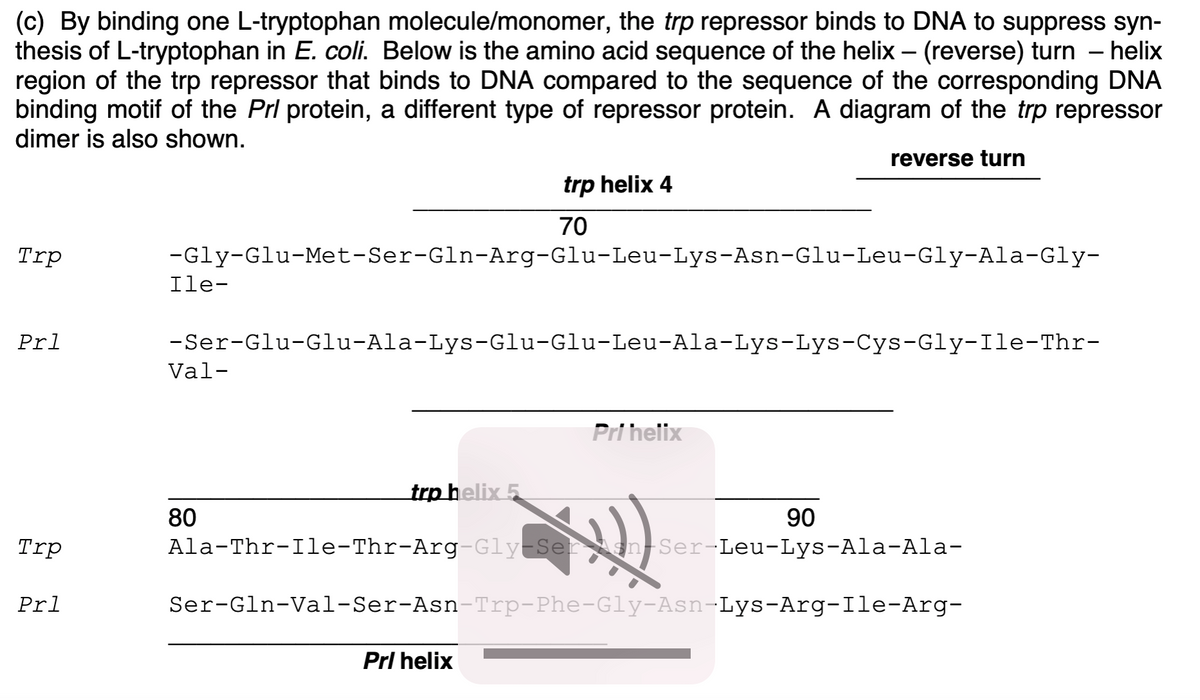 (c) By binding one L-tryptophan molecule/monomer, the trp repressor binds to DNA to suppress syn-
thesis of L-tryptophan in E. coli. Below is the amino acid sequence of the helix – (reverse) turn – helix
region of the trp repressor that binds to DNA compared to the sequence of the corresponding DNA
binding motif of the Prl protein, a different type of repressor protein. A diagram of the trp repressor
dimer is also shown.
reverse turn
trp helix 4
70
Trp
-Gly-Glu-Met-Ser-Gln-Arg-Glu-Leu-Lys-Asn-Glu-Leu-Gly-Ala-Gly-
Ile-
Prl
-Ser-Glu-Glu-Ala-Lys-Glu-Glu-Leu-Ala-Lys-Lys-Cys-Gly-Ile-Thr-
Val-
Pri heilix
trp helix 5
80
90
Trp
Ala-Thr-Ile-Thr-Arg-Gly-Ser sgn-Ser-Leu-Lys-Ala-Ala-
Prl
Ser-Gln-Val-Ser-Asn-Trp-Phe-Gly-Asn-Lys-Arg-Ile-Arg-
Prl helix
