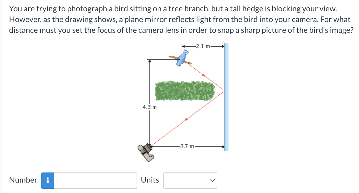 You are trying to photograph a bird sitting on a tree branch, but a tall hedge is blocking your view.
However, as the drawing shows, a plane mirror reflects light from the bird into your camera. For what
distance must you set the focus of the camera lens in order to snap a sharp picture of the bird's image?
Number i
4.3 m
Units
-2.1
-3.7 m-