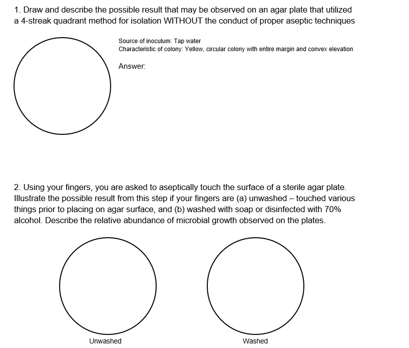 1. Draw and describe the possible result that may be observed on an agar plate that utilized
a 4-streak quadrant method for isolation WITHOUT the conduct of proper aseptic techniques
Source of inoculum: Tap water
Characteristic of colony: Yellow, circular colony with entire margin and convex elevation
Answer:
2. Using your fingers, you are asked to aseptically touch the surface of a sterile agar plate.
Illustrate the possible result from this step if your fingers are (a) unwashed – touched various
things prior to placing on agar surface, and (b) washed with soap or disinfected with 70%
alcohol. Describe the relative abundance of microbial growth observed on the plates.
Unwashed
Washed
