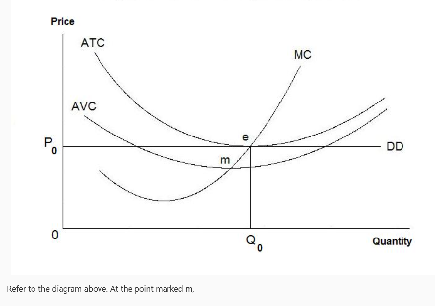 Price
P
0
0
ATC
AVC
Refer to the diagram above. At the point marked m,
3
Qo
MC
DD
Quantity