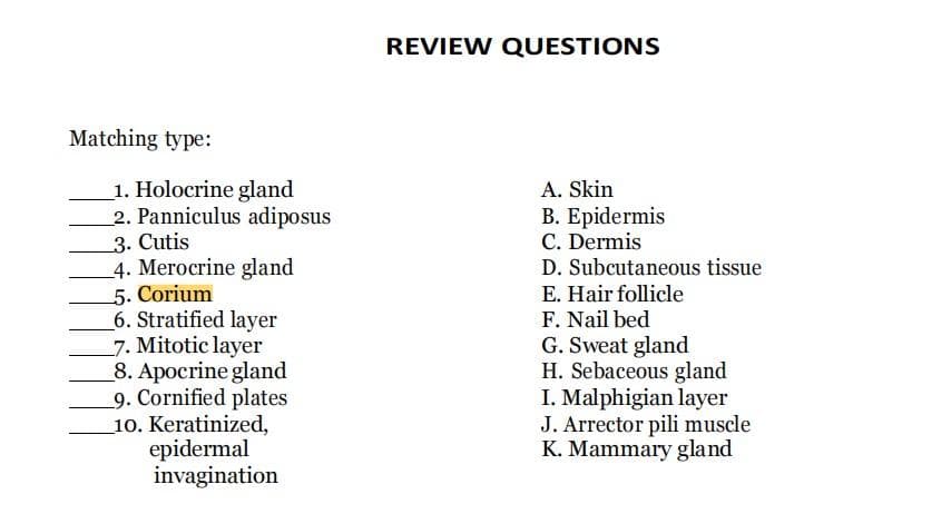 REVIEW QUESTIONS
Matching type:
1. Holocrine gland
2. Panniculus adiposus
A. Skin
B. Epidermis
C. Dermis
D. Subcutaneous tissue
3. Cutis
4. Merocrine gland
5. Corium
6. Stratified layer
7. Mitotic layer
_8. Apocrine gland
9. Cornified plates
10. Keratinized,
epidermal
invagination
E. Hair follicle
F. Nail bed
G. Sweat gland
H. Sebaceous gland
I. Malphigian layer
J. Arrector pili muscle
K. Mammary gland
