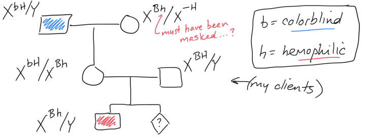 Bh
must have been
masked...?
b= colorblind
,bH/,Bh
h= hemophilic
BH
<fay olients)
-Bh
