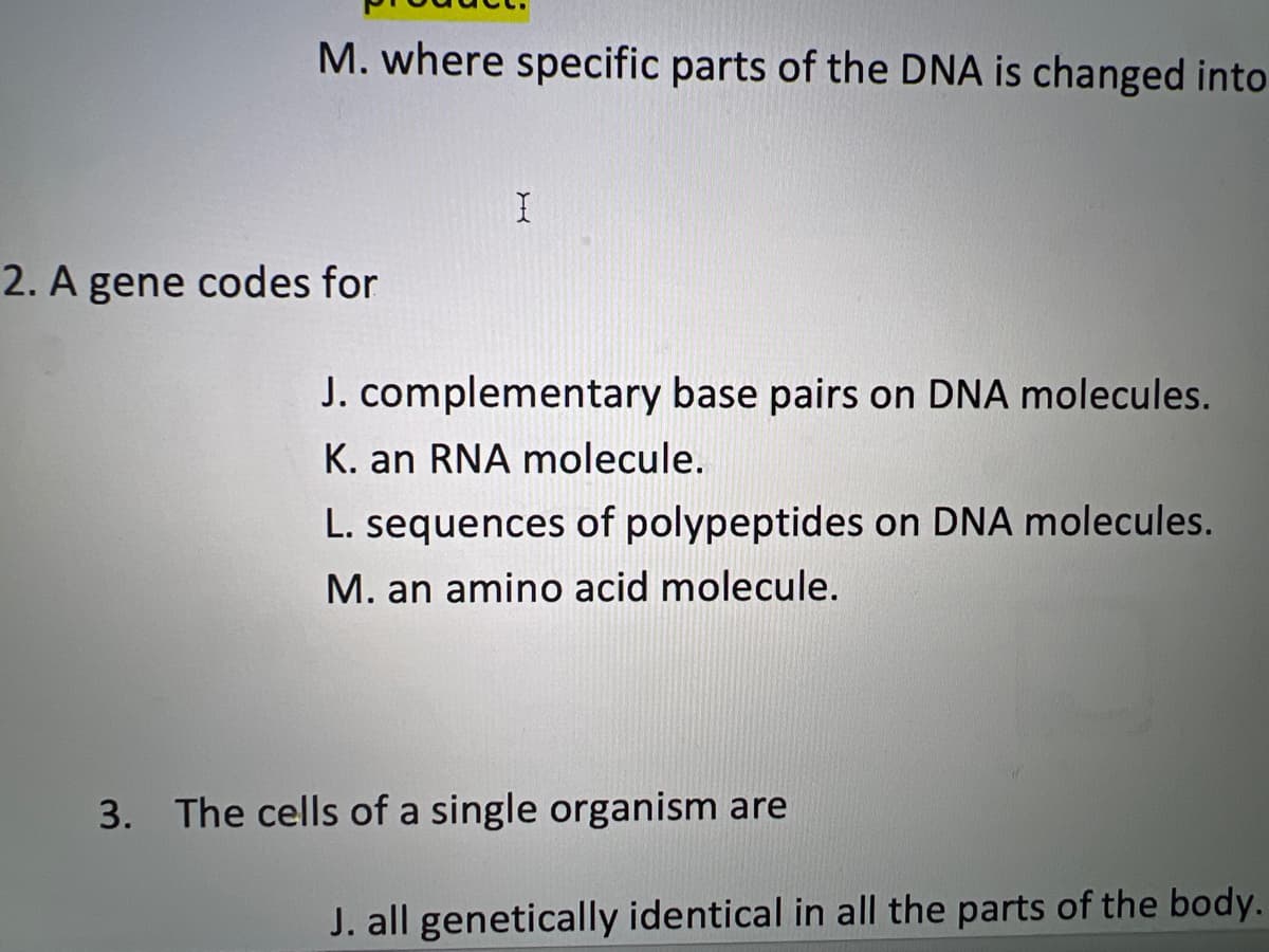 M. where specific parts of the DNA is changed into
2. A gene codes for
I
J. complementary base pairs on DNA molecules.
K. an RNA molecule.
L. sequences of polypeptides on DNA molecules.
M. an amino acid molecule.
3. The cells of a single organism are
J. all genetically identical in all the parts of the body.
