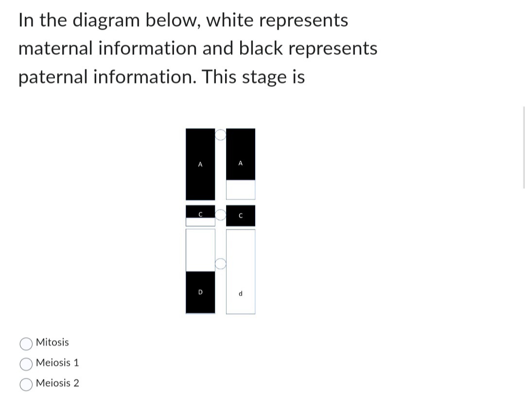 In the diagram below, white represents
maternal information and black represents
paternal information. This stage is
Mitosis
Meiosis 1
Meiosis 2
A
D
d