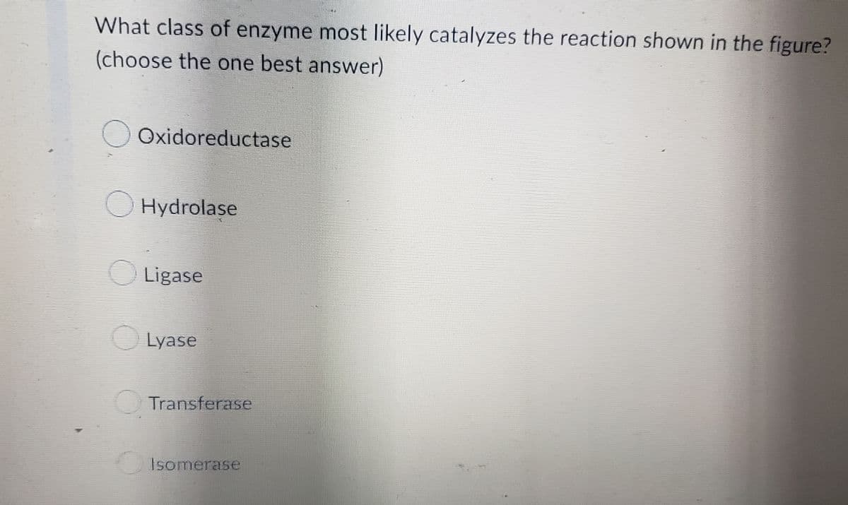 What class of enzyme most likely catalyzes the reaction shown in the figure?
(choose the one best answer)
Oxidoreductase
Hydrolase
Ligase
Lyase
Transferase
Isomerase